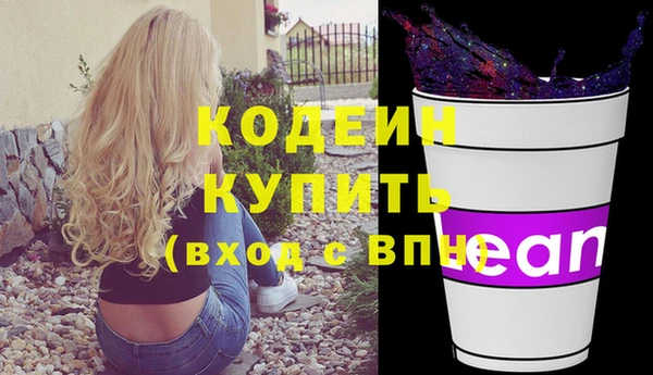 гашик Каменка