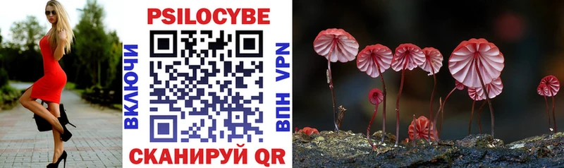 ссылка на мегу сайт Полтавская Псилоцибиновые грибы Cubensis